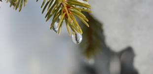 Найближчими днями погода в Україні зміниться.