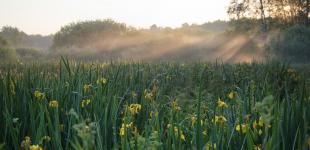 Грози і спека: якою буде погода в Україні 2 червня