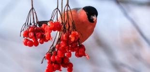 Гороскоп на 14 січня для всіх знаків зодіаку: день боротьби між добром та злом