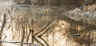 Гороскоп на 17 січня для всіх знаків зодіаку: день, коли можна не напружуватися