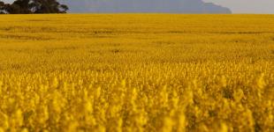 Гороскоп на 23 серпня для всіх знаків зодіаку: день, коли збудуться найсміливіші мрії