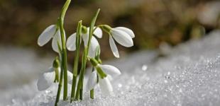 Яка погода очікує українців навесні: синоптики озвучили прогноз на кожен місяць