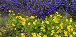 Спека набирає обертів: синоптик попередила про аномальну погоду у липні