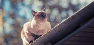 Морози в Україні змінить різке потепління: названо дату