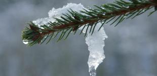 До +5. Синоптики попередили про потепління на початку тижня та повідомили, де можливі дощі та сніг