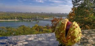 Частину України накриють дощі: синоптики дали прогноз на початок тижня