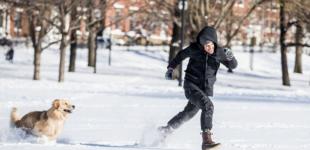 Ожеледиця сніг та дощ: Гідрометцентр розповів про погоду в Київській області на початку тижня
