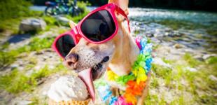 Посуха, грози та пил із Сахари: експерт розповіла, якої погоди очікувати українцям влітку