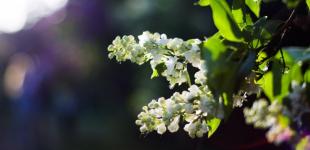 Потеплішає майже на 10 градусів: Укргідрометцентр дав прогноз на квітень