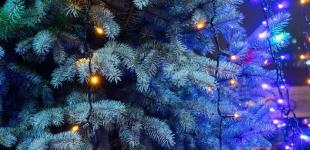 2025 стане найвдалішим у житті чотирьох знаків Зодіаку. Хто наб'є грошима гаманці