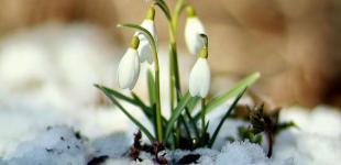 Місцями сніг, але вдень до 10 тепла. Синоптики дали прогноз на 5 березня