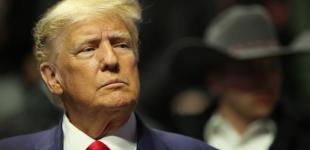 Стало відомо, коли Трамп може підготувати план завершення війни в Україні