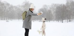 Мороз посилиться. Синоптики дали прогноз на 16 лютого в Україні