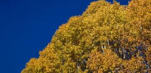 Вдень до +24, але з дощами. Де чекати на опади 3 жовтня в Україні