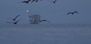 ExxonMobil домовляється про відновлення видобутку нафти у Росії, - WSJ