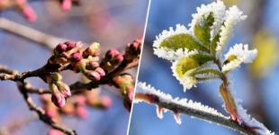 Синоптик розказала, коли в Україну прийде тепло