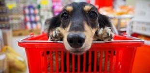 У магазин з твариною? Чи дозволяє закон і коли доведеться платити штраф