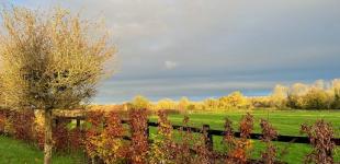 Гороскоп на 27 листопада для всіх знаків зодіаку: день, коли активізуються сили зла