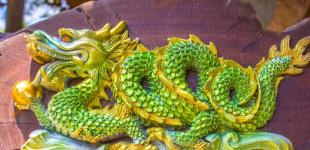 Рік Зеленого Дерев'яного Дракона: що нам принесе 2024 і кому особливо пощастить у цей час