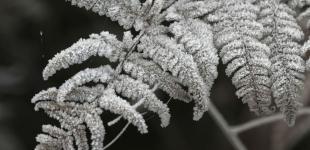 Україну накриє неочікуване тепло: прогноз погоди на вихідні