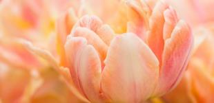 Гороскоп на 17 квітня для всіх знаків зодіаку: день, коли важливо, щоб дії були творчими