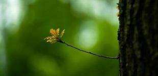 Погода у березні: синоптики ошелешили неочікуваним прогнозом