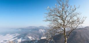 Вночі мороз, а вдень тепло: синоптики попередили про різкі перепади температури