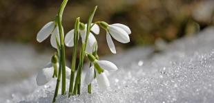 До 9 градусів тепла, але подекуди пориви вітру: прогноз погоди на 20 лютого