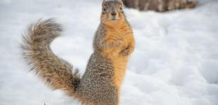 Прогноз погоди на 1 грудня: яким буде перший день зими