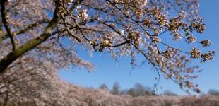 Гороскоп на 11 квітня для всіх знаків зодіаку: день, коли на нас чекають перепади настрою