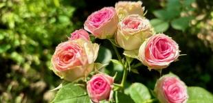 Гороскоп на 16 липня для всіх знаків зодіаку: день, коли не можна витрачати сили на дрібниці