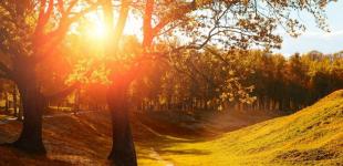 Гороскоп на 5 вересня для всіх знаків зодіаку: день, коли таємне стане очевидним