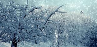 Чи будуть ще сильні морози в Україні: прогноз синоптикині