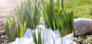 Гороскоп на 27 лютого для всіх знаків зодіаку: день, який треба просто пережити