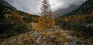 Погода у листопаді: як довго ще протримається тепло