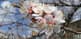 В частину України прийде справжнє літо: що чекати від погоди у п’ятницю