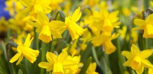 Що зірки нам пророкують: гороскоп на 22-28 квітня 2024 року