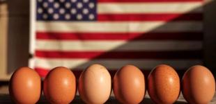 Яйця в США настільки здорожчали, що американці на Великдень фарбують картоплю