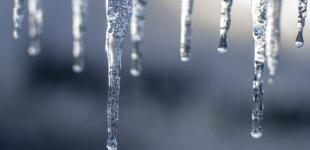 Сонце принесе до 6 градусів тепла вдень: прогноз погоди в Україні на 31 січня