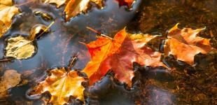 Що зірки нам пророкують: гороскоп на 14-20 жовтня 2024 року