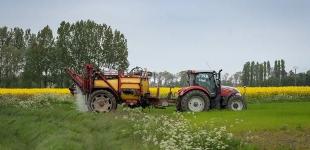 В Україні перерахували ціни на землю: скільки тепер коштує гектар