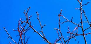 Гороскоп на 20 березня для всіх знаків зодіаку: день, коли треба забути про матеріальне