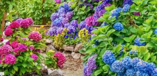 Гороскоп на 13 липня для всіх знаків зодіаку: день, коли потрібно перепросити