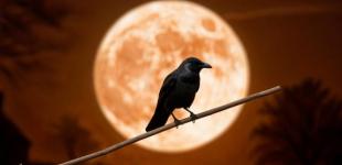 Коли Урожайна повня 2025: на які знаки зодіаку вона найбільше вплине та як її побачити на небі