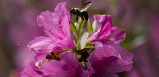 Гороскоп на 8 червня для всіх знаків зодіаку: день, коли краще не ризикувати своєю репутацією