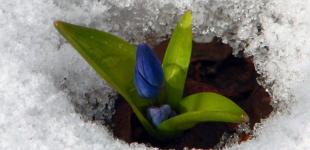 Прогноз погоди на 5 березня: в Україні стане прохолодніше, місцями - сніг та сильний вітер