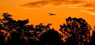 Гороскоп на 7 травня для всіх знаків зодіаку: день, коли місячні енергії зроблять нас помисливими