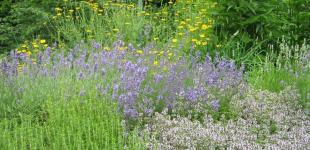 Гороскоп на 25 липня для всіх знаків зодіаку: день, коли потрібно складати плани на майбутнє