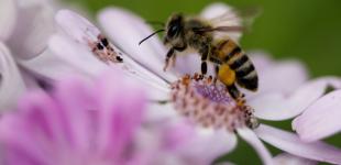 Беріть парасольки: якою буде погода в Україні 6 травня