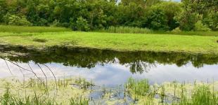 Гороскоп на 22 липня для всіх знаків зодіаку: день, коли потрібно шукати гарне у всьому